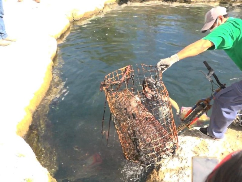 El 70% de los cenotes en Yucatán están contaminados por desechos y falta de saneamiento, alertan expertos sobre esta amenaza ambiental.