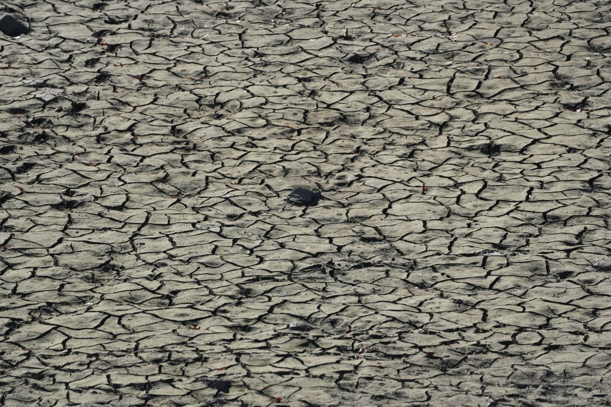 : Las sequías, una nueva realidad global. Descubre cómo el cambio climático intensifica este problema y cómo la COP16 busca soluciones.