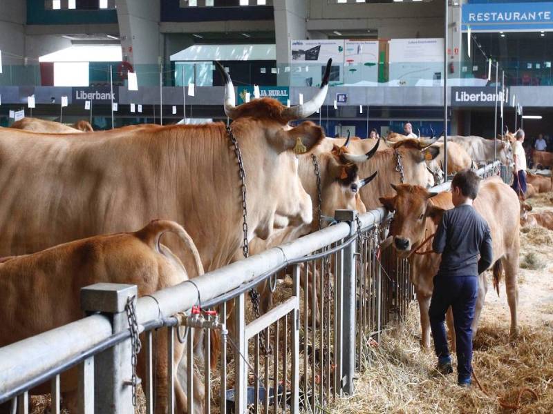 Ya es un hecho ¡Invitan al primer Tianguis Ganadero en Umán!