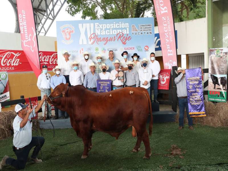 Premio a la Diversificación del Producto Turístico Mexicano 2020