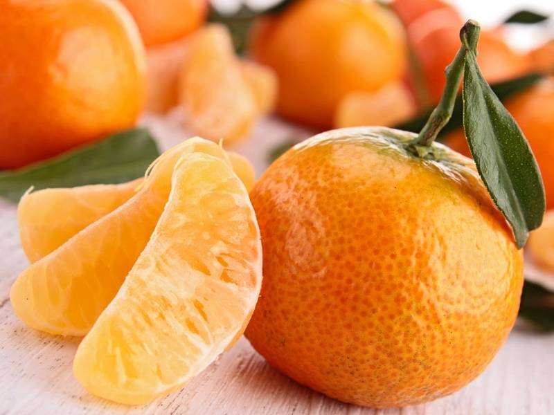 Producción de frutos de temporada garantizada para esta época