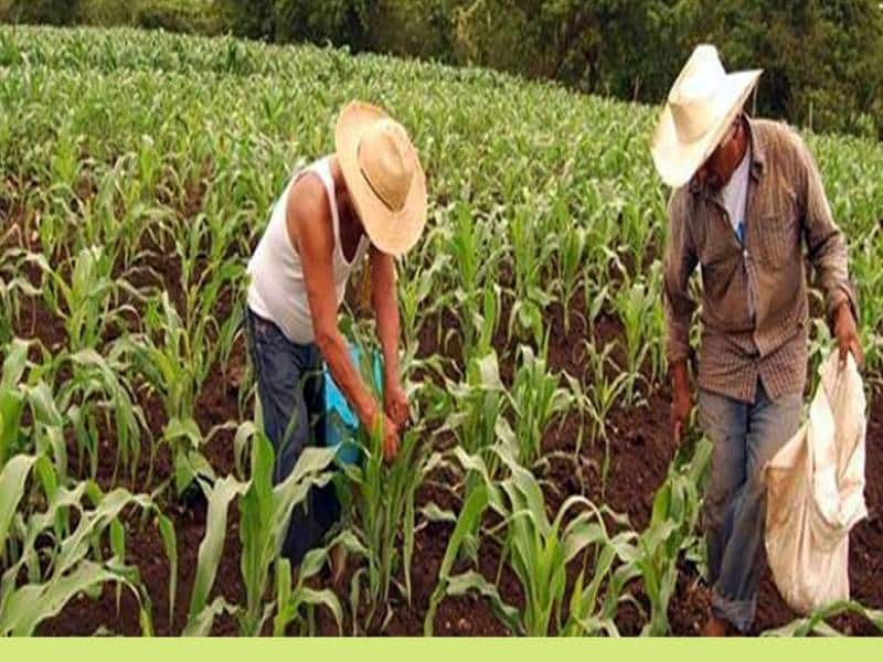 Sader lleva a cabo reunión de planeación y estrategia