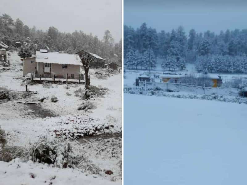 ¡La Navidad está aquí! Llegan las primera nevadas al norte del país