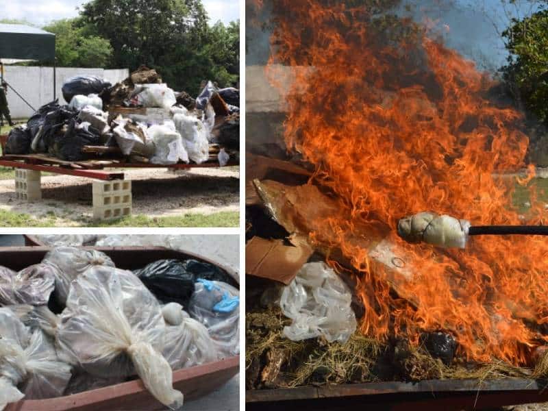 Confiscan productos marinos y narcóticos