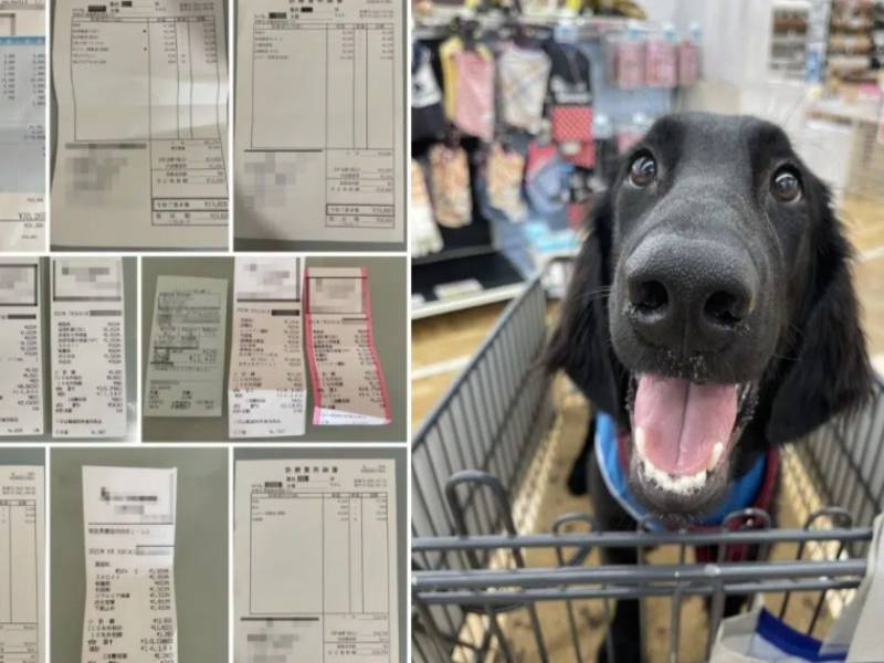 Mujer es arrestada en Japón por pedir donaciones para su perro