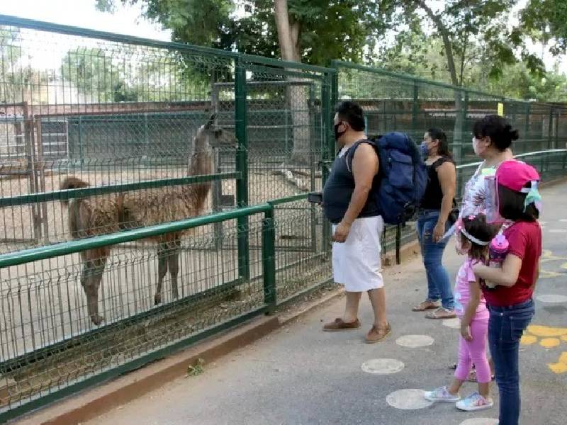 Depredación pone en riesgo a fauna silvestre
