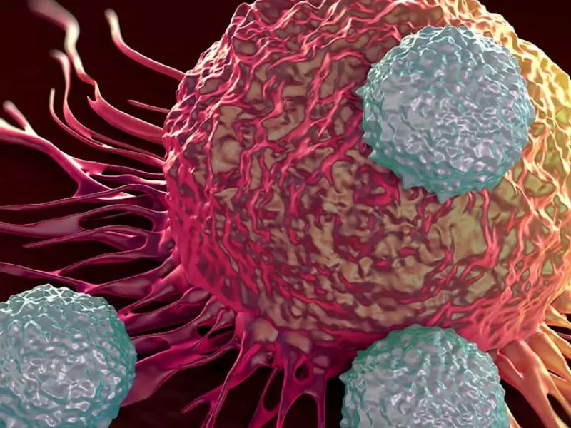 Casos de Cáncer en México