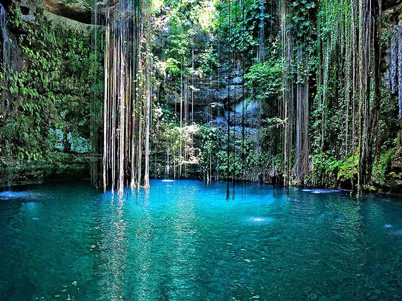 Ahimara Suárez Ramírez AMIT Yucatán