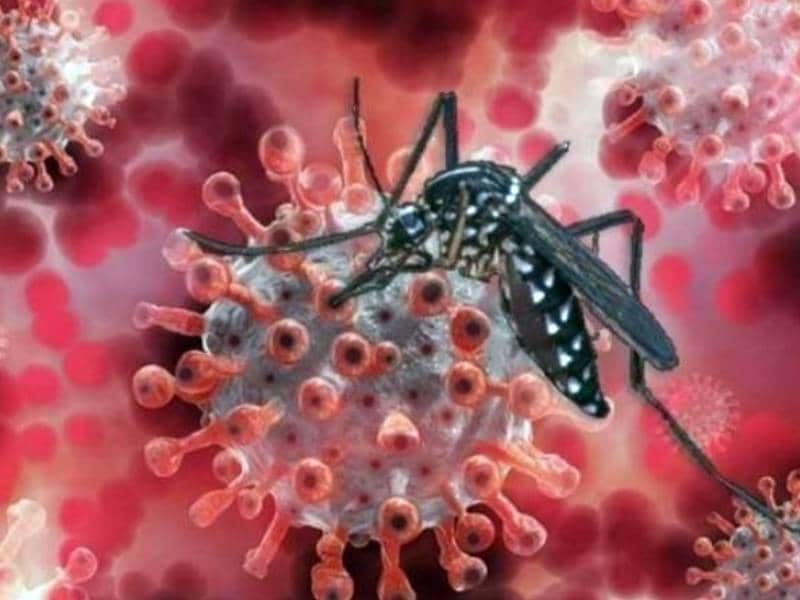Caso coronadengue