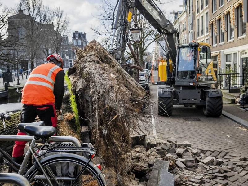 Naturaleza Europa Brasil