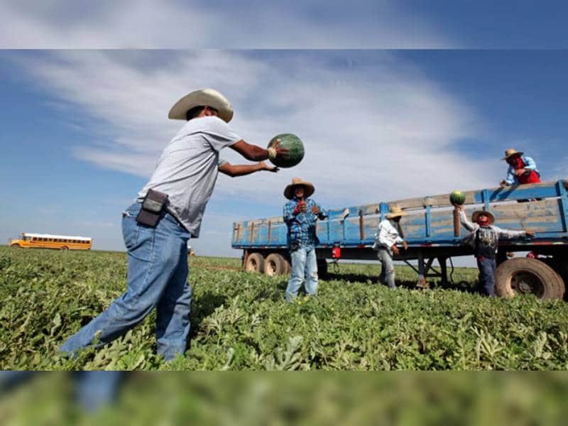 Sin migrantes Estados Unidos