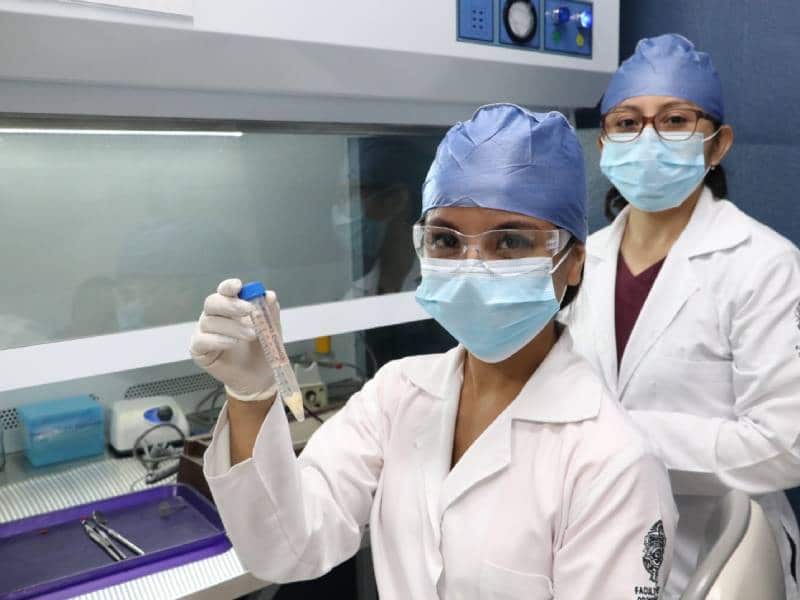 Niña mujer ciencia
