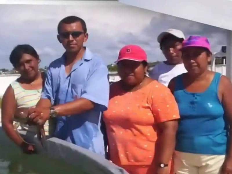 Mujeres yucatán UNAM