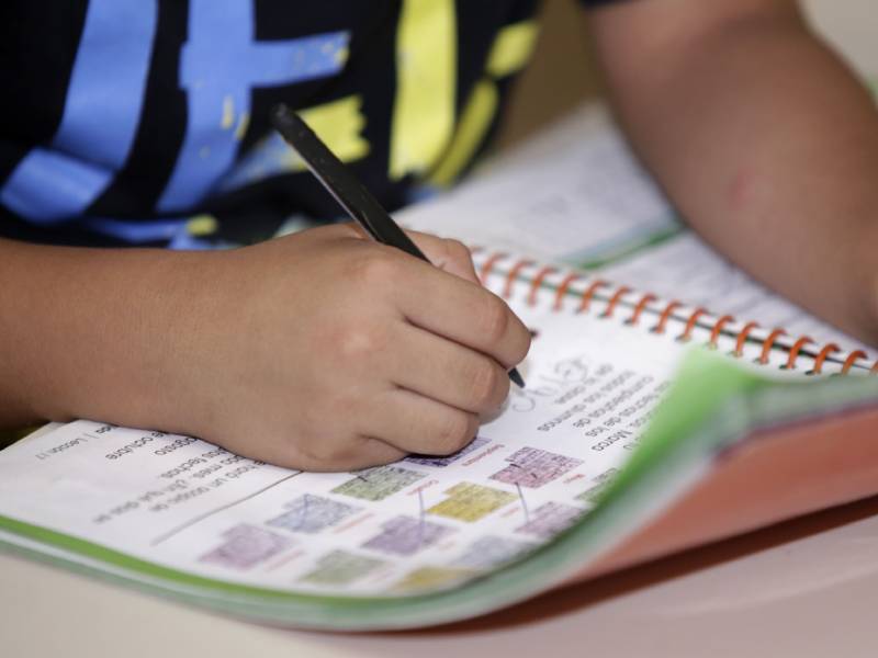 Rezago educativo