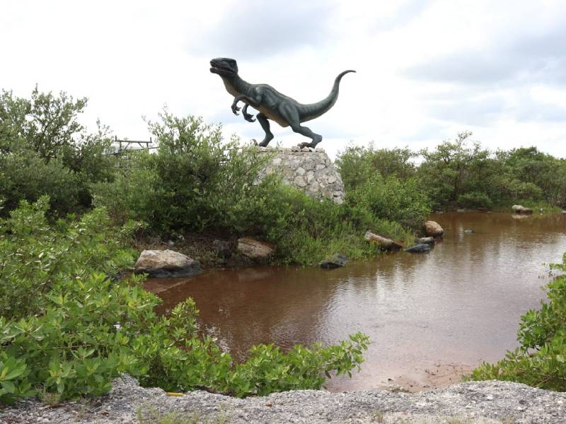 Sendero Jurásico