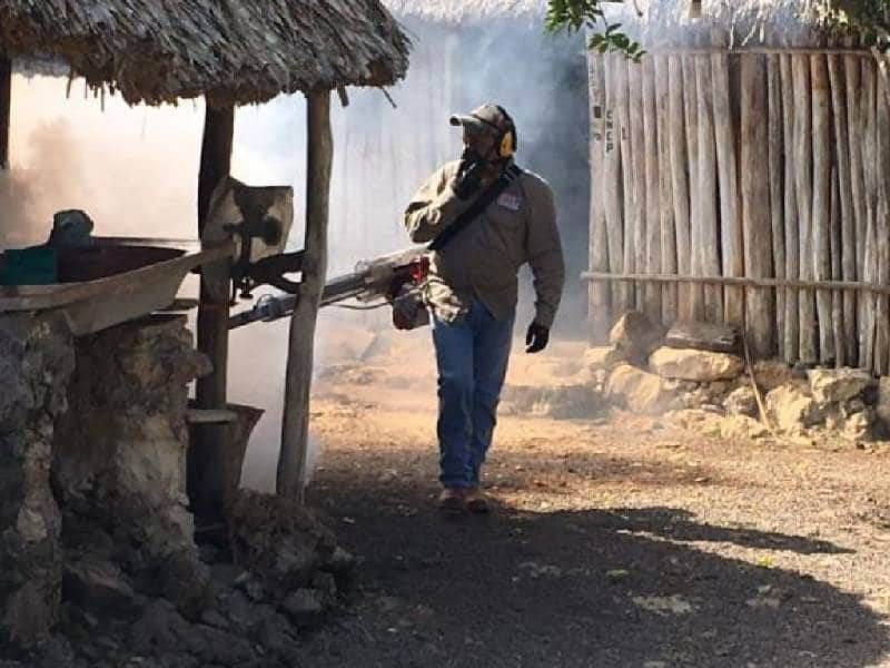 Revela estudio combate efectivo al mosquito aedes aegypti