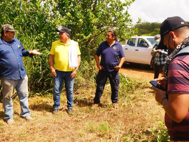 Se capacitan productores en materia de agricultura orgánica