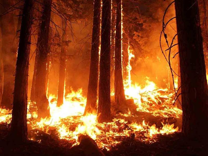 Nuevo León incendio