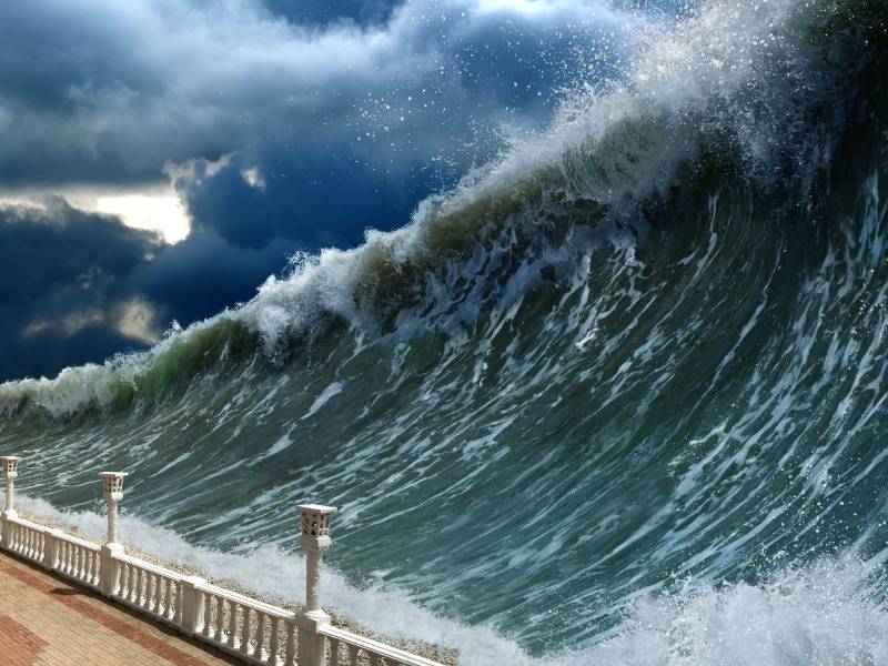 Sismo Japón tsunami