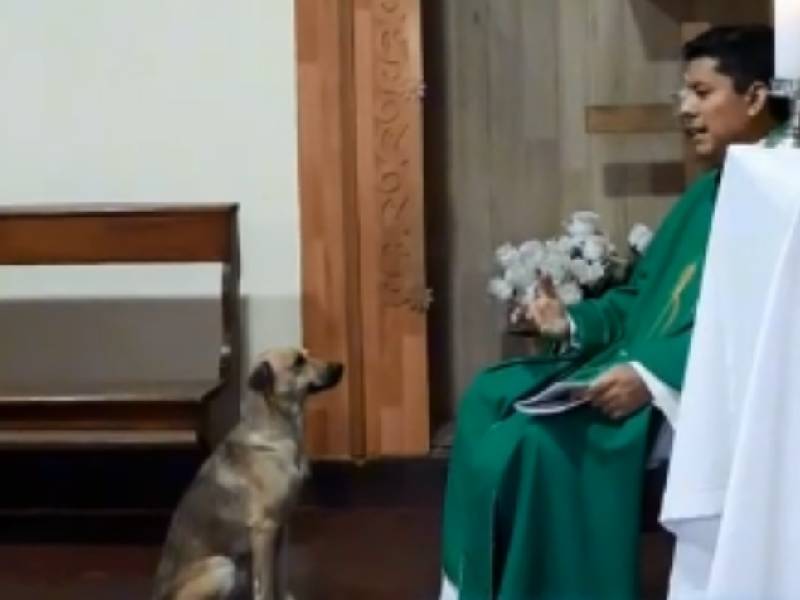 ¡Perrito religioso! Este peludo tomo misa a los pies del padre