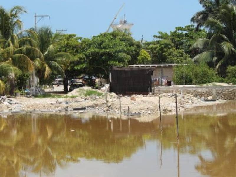 Ciénega de Chicxulub, en peligro por los asentamientos irregulares
