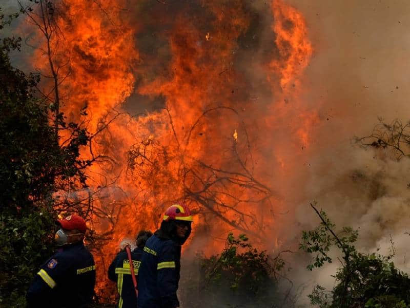 Controlan 6 incendios forestales