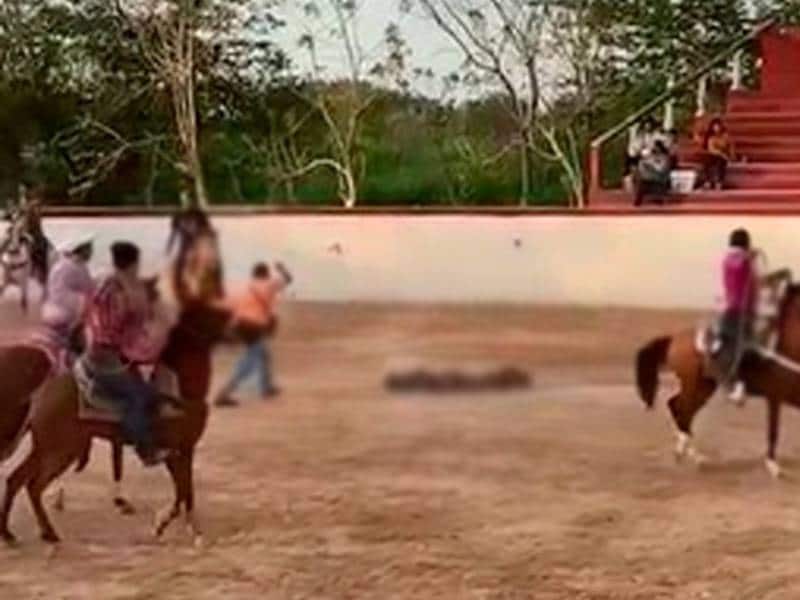 Menor cornado por un toro sigue grave