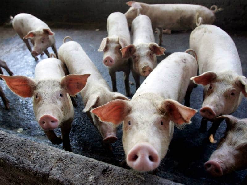 Exigen en Homún ayuda ante afectaciones