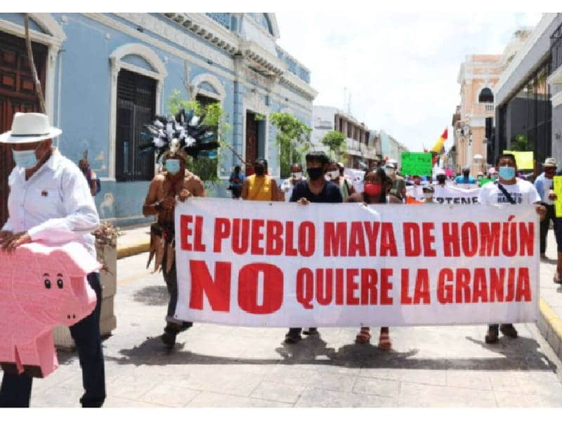 Presentan amicus curiae en Yucatán para apoyar amparo que defiende derechos de comunidades locales y pueblos indígenas ante un convenio de coordinación.