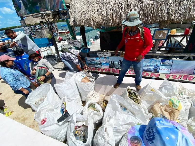 Rescatan la salud de playas y manglares