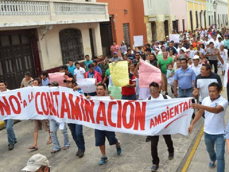 yucatán ambientalistas