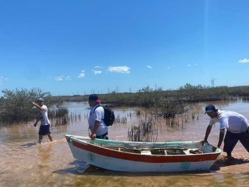 Chicxulub