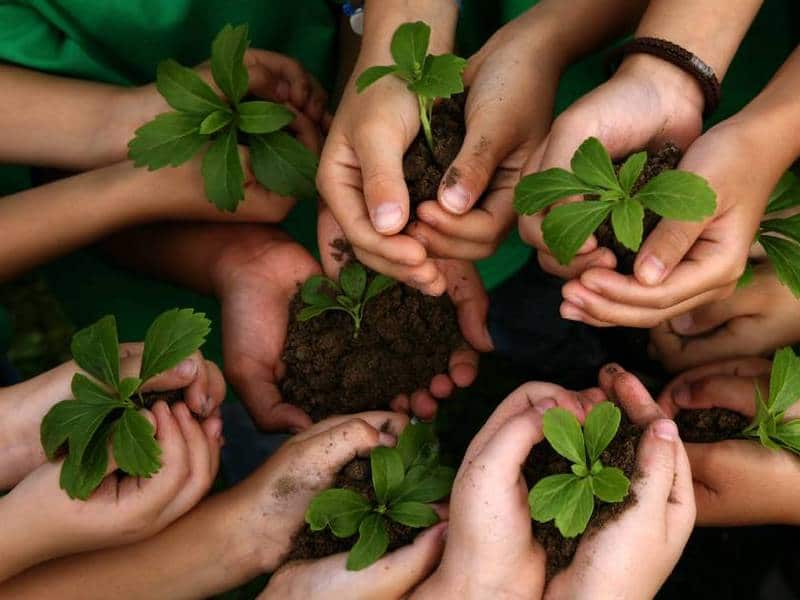 educacion ambiental