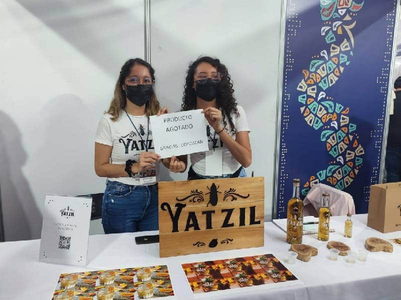 Exitosa muestra en la alcaldía de Coyoacán