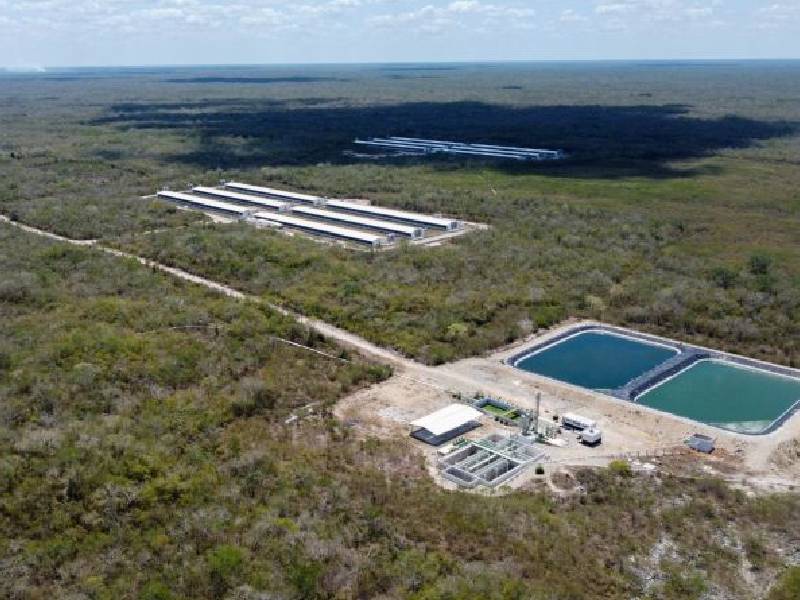 Prevén la suspensión de megagranja en Homún