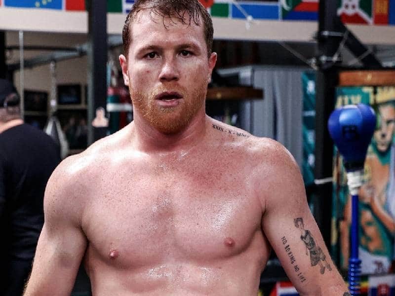 canelo regreso