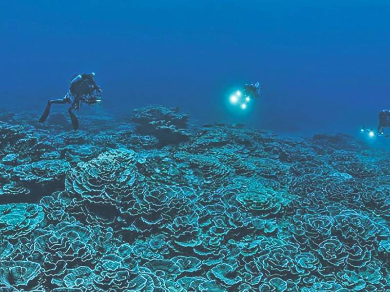 Apelan al clima para unir a América