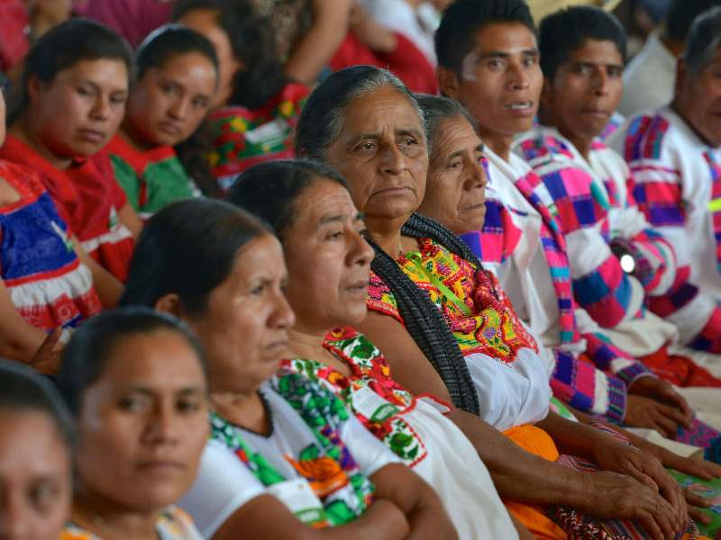 Avanza representación indígena en los ayuntamientos del estado