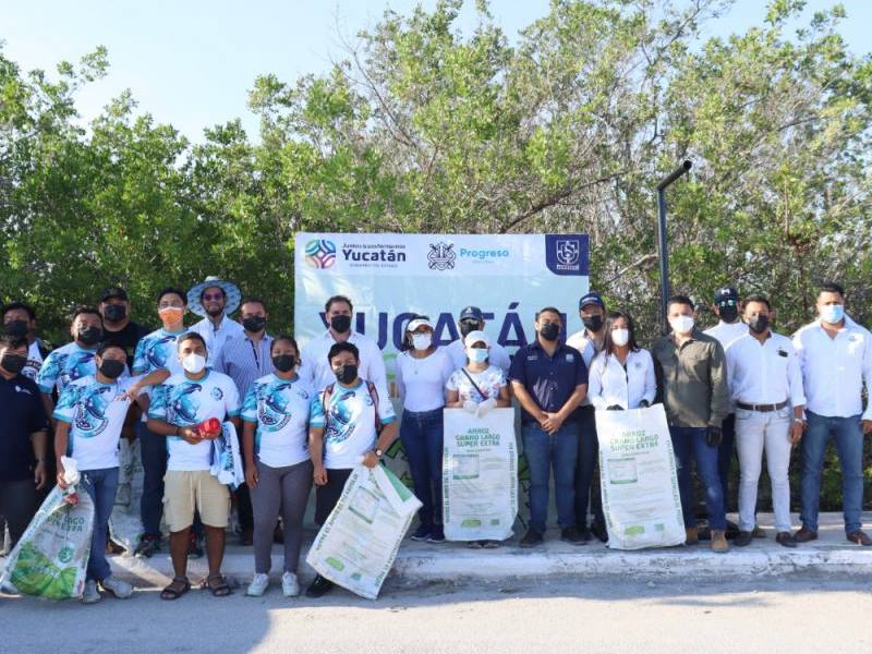 Limpian zona de manglares en Progreso