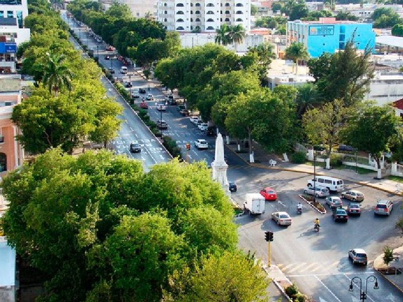 Mérida, entre ciudades con pérdida de biodiversidad