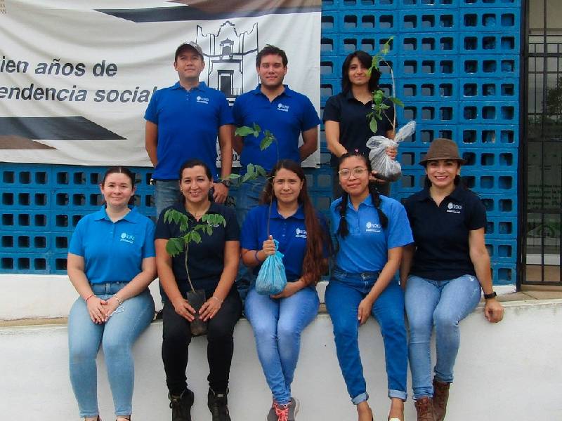 Distinguen a la UADY entre las universidades más sustentables del orbe