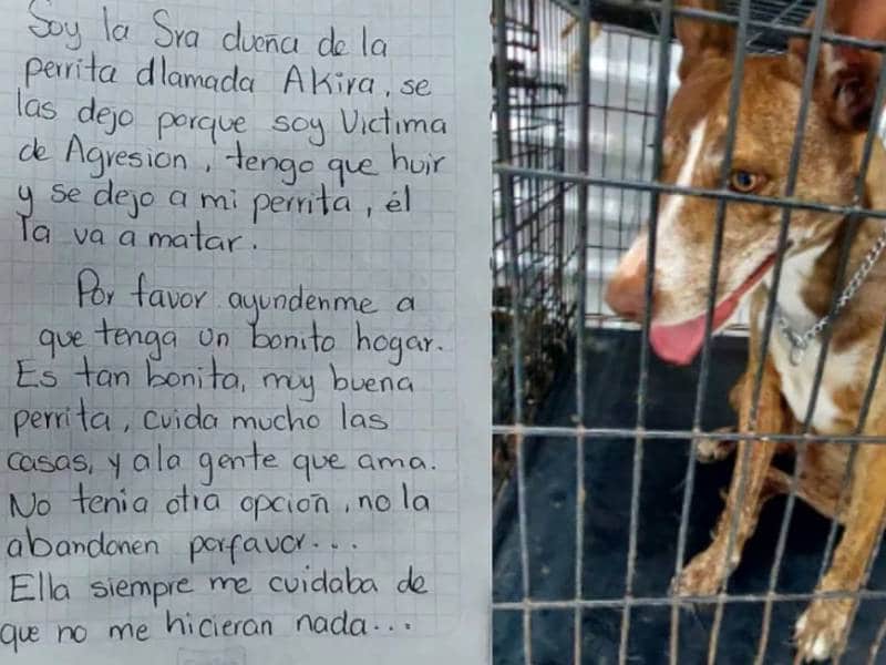 mujer perrita