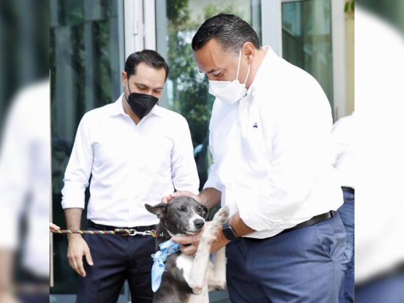 Anuncian la creación del primer Hospital Veterinario Público del estado y todo el sureste