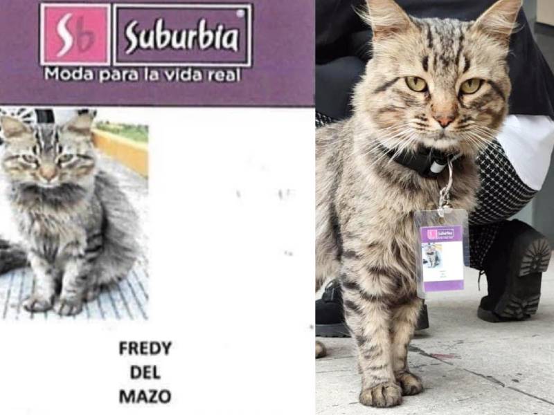 Fredy del Mazo