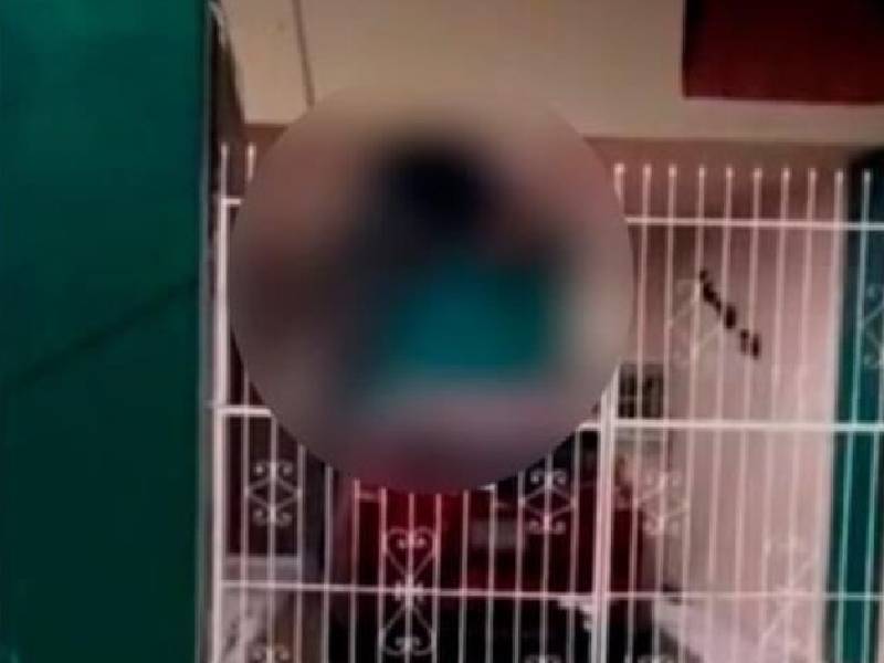 IMÁGENES FUERTES. Ladrón fallece al quedar ensartado en reja de vivienda