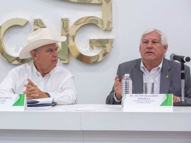 carne precio