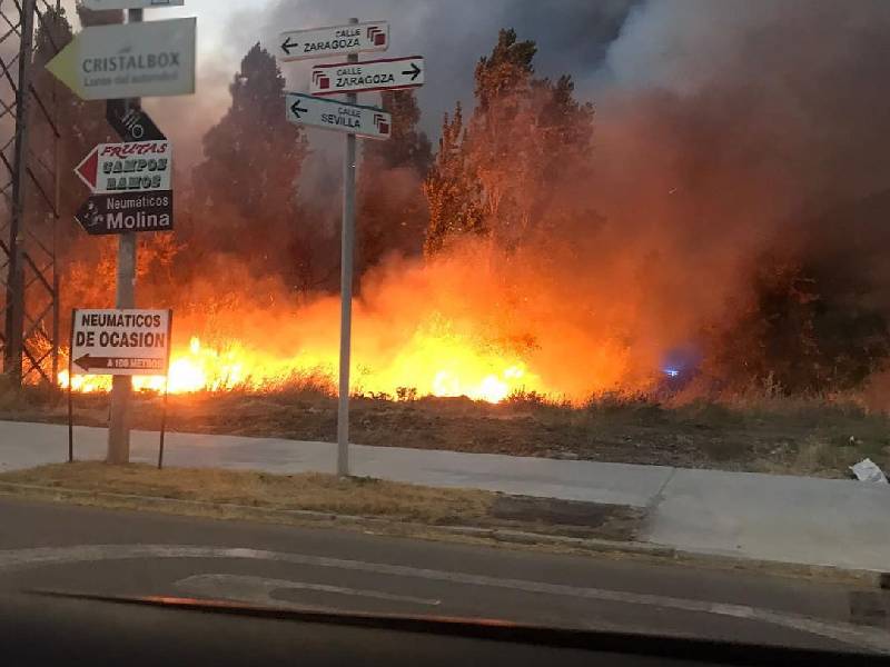 Desalojan a mascotas por alarma de incendio
