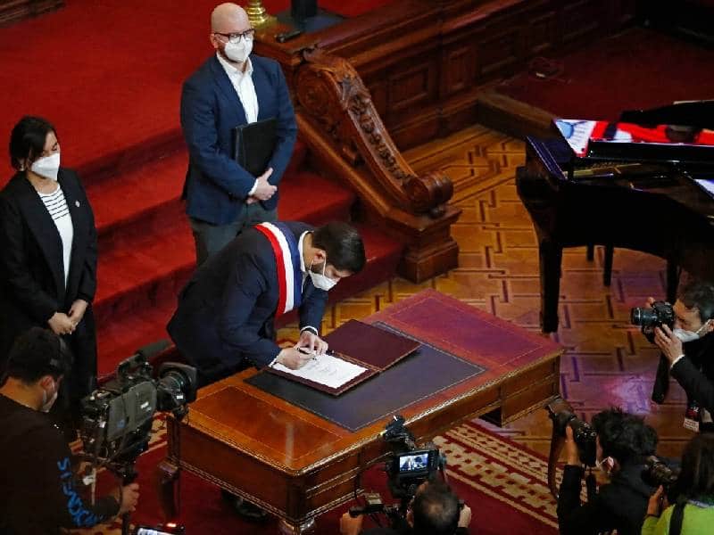 boric constitución
