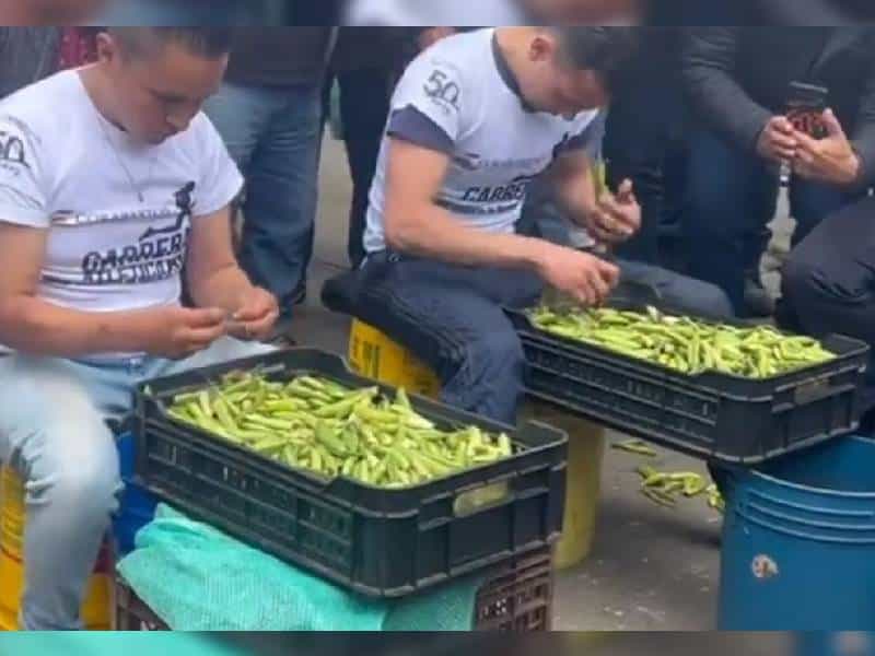 ¡Paren todo! Participantes compiten en campeonato desgranando chícharos