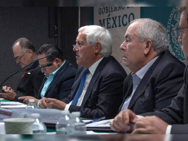 producción granos